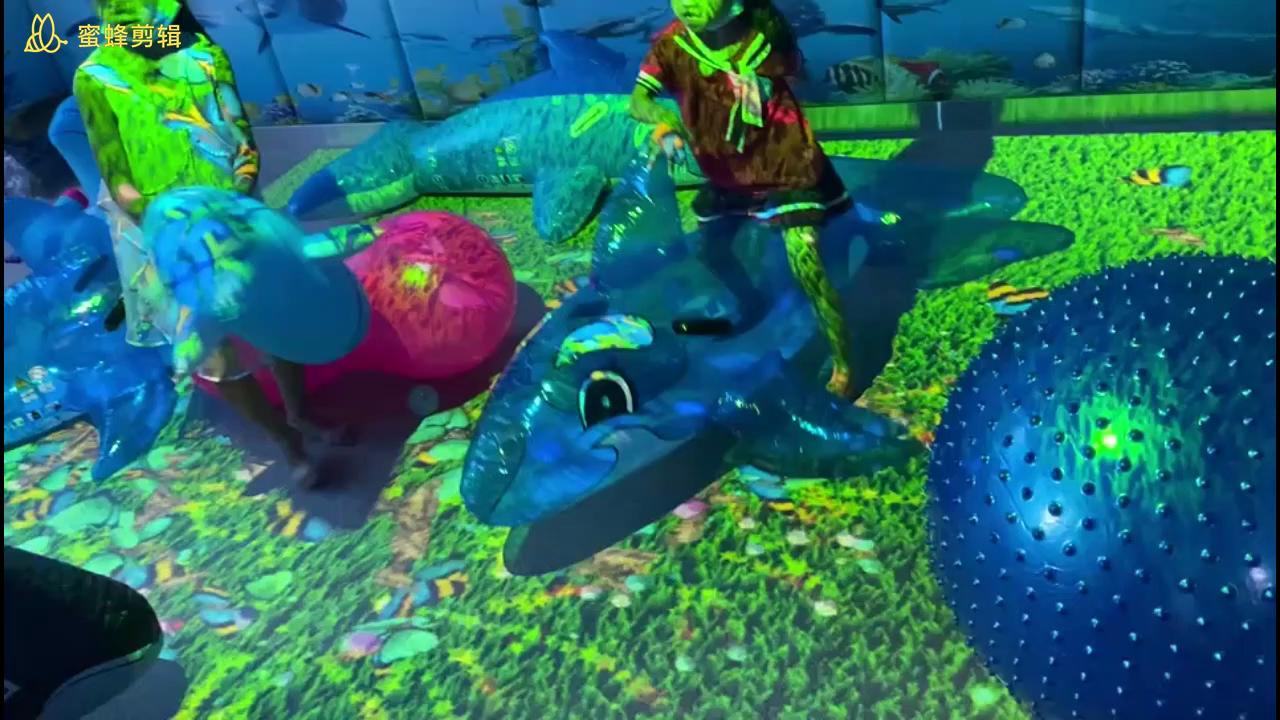 AR互動數字仿生訓練系統(tǒng)(海豚屋)